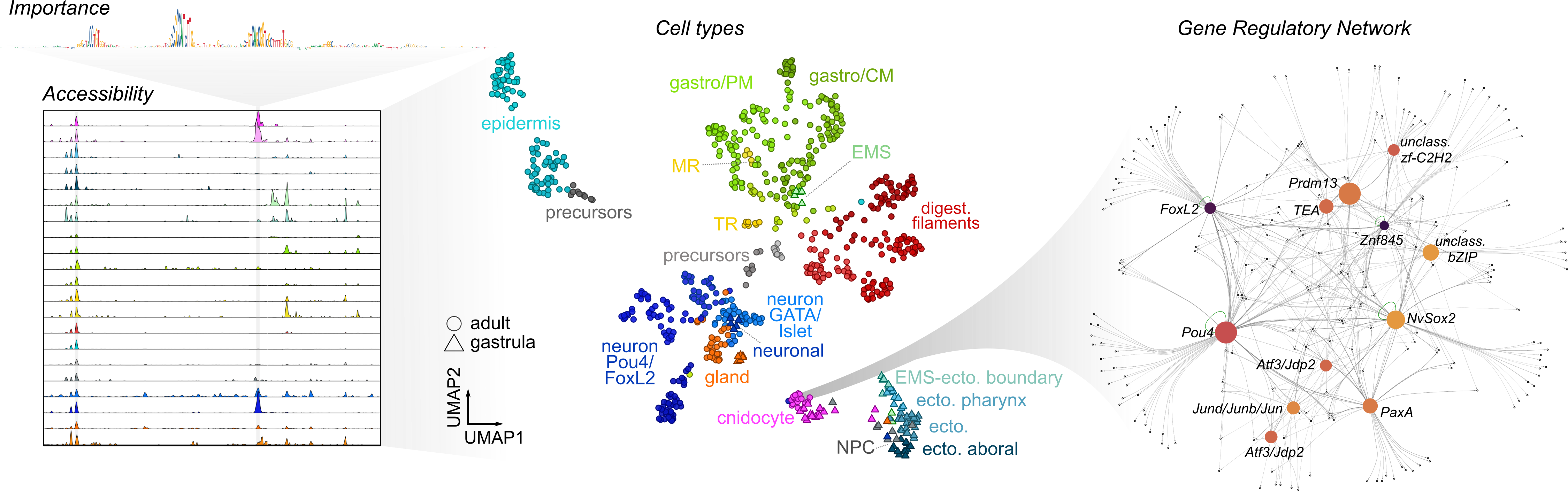 gene-regulatory-modeling